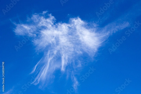 Fototapeta Blue sky with white jellyfish clouds