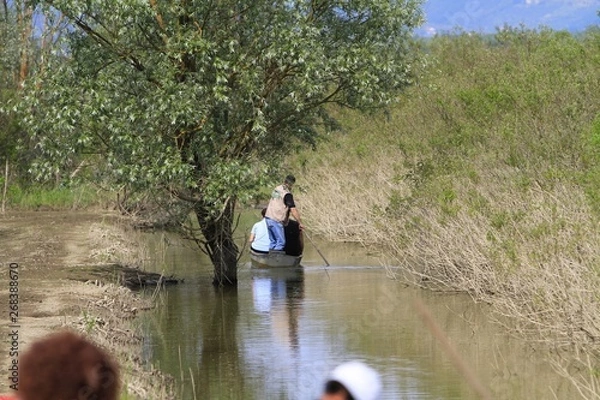 Obraz Padule di Fucecchio 2014