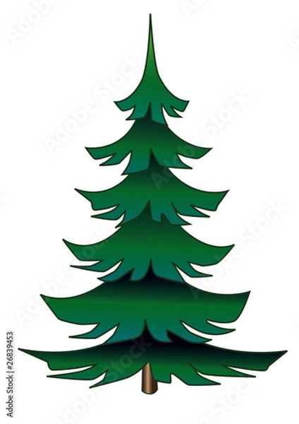 Fototapeta Spruce tree isolated on white background.