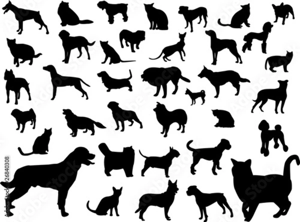 Obraz dogs and cats silhouette collection - vector