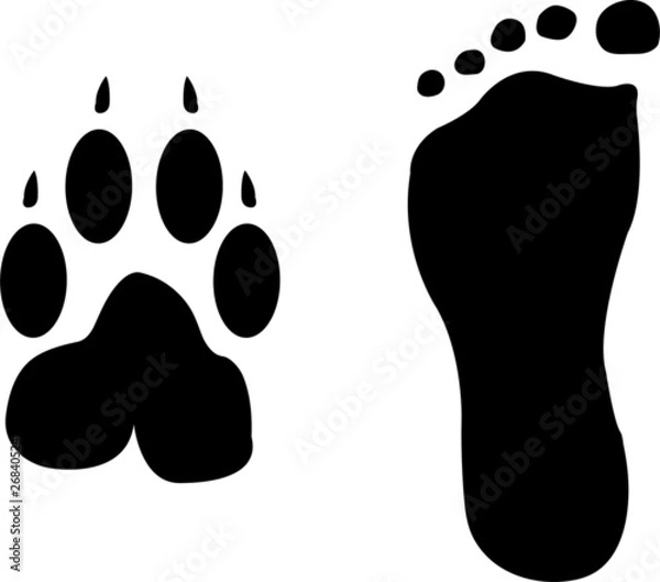 Obraz dog and man footprints silhouette - vector