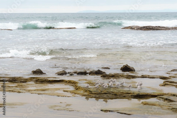Obraz Napping seaside in California