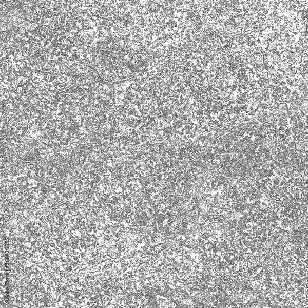 Obraz .Black and white ink spotted texture.