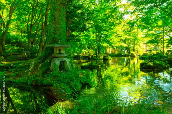 Obraz 水辺と灯篭がある苔むした日本の庭園