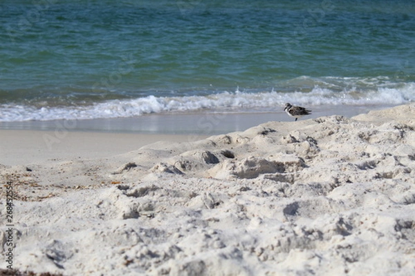 Fototapeta waves on the beach