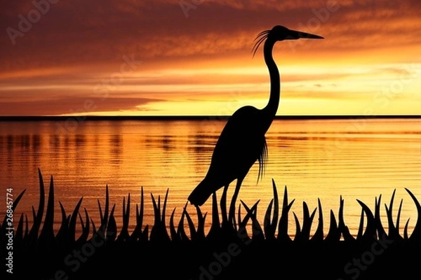 Obraz silhouette of Big White heron staying into a grass