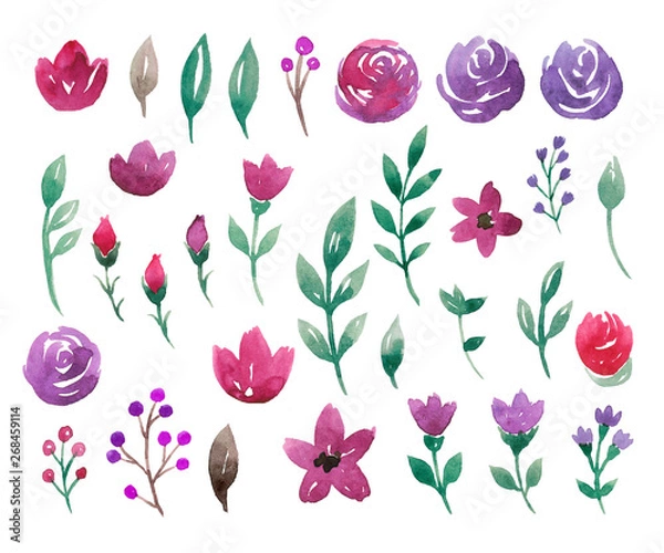 Obraz Watercolor flowers and floral elements isolated on white