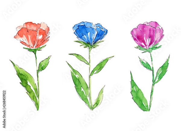 Obraz Watercolor flowers set isolated on white