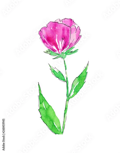 Obraz Watercolor flower isolated on white background.