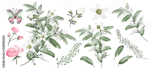 Obraz Watercolor.  Botanical collection. Set of wild and garden abstract plants . Leaves, flowers, branches and other natural elements. All drawings isolated on white background. White flower.