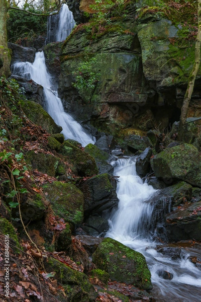 Obraz Waterfall