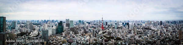 Obraz Panorama de Tokyo