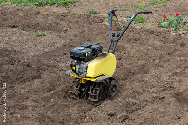 Obraz Tractor in the field