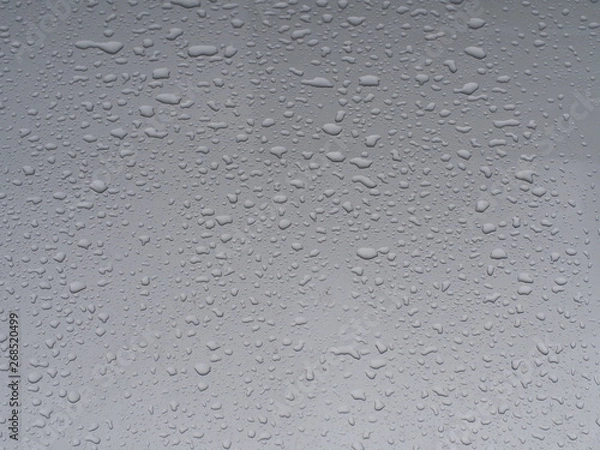Fototapeta Transparent clean rain drops on the gray surface