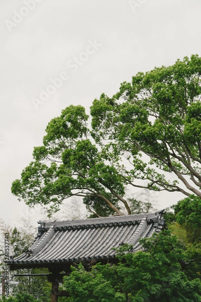 Obraz Landscape of Kyoto