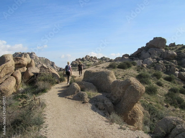 Fototapeta View of a trail with hikers on the path to Tom's Thumb in the McDowell Mountains in the Sonoran desert near Scottsdale, Arizona 