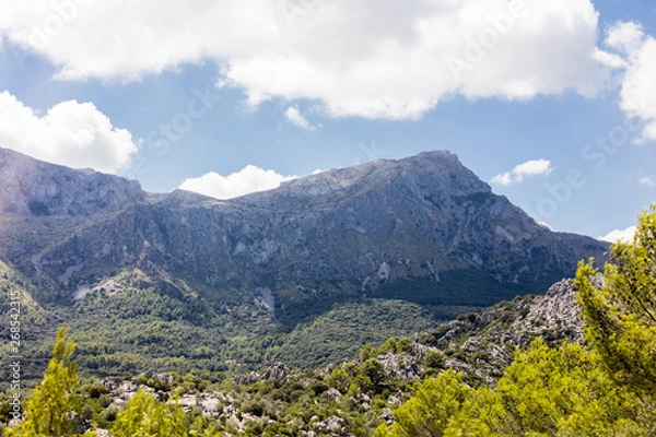 Fototapeta Paysage - Majorque