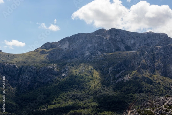 Obraz Paysage - Majorque