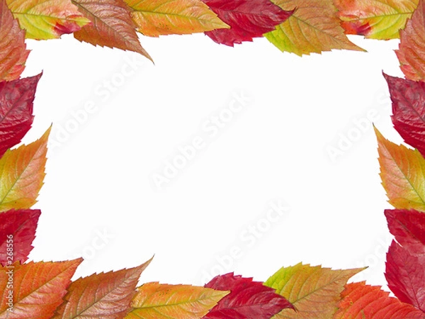 Fototapeta autumn framework