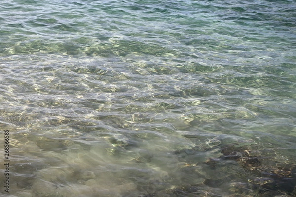Fototapeta A travers une mer limpide 