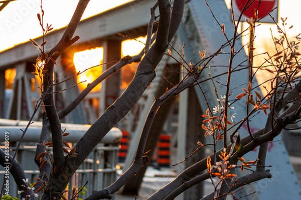 Obraz Sundown in the City