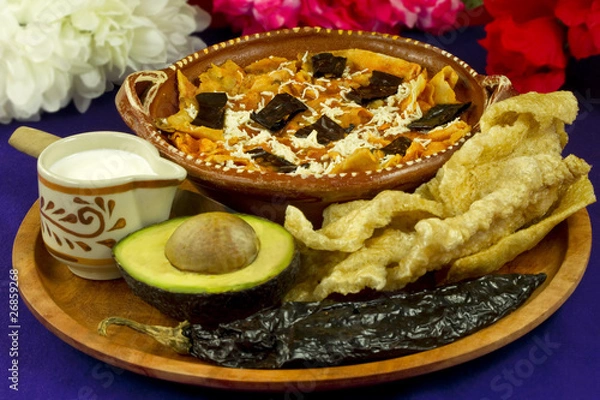 Obraz Mexican Tortilla Soup Front View