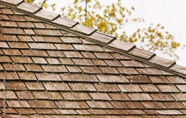 Obraz Cedar shingle roof with some tree debris and small amounts of moss 