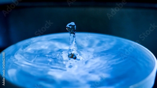 Fototapeta falling drop into clear water