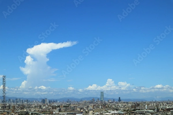 Fototapeta 日本　大阪堺市の風景