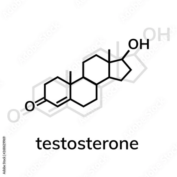Fototapeta Testosterone vector icon with shadow on white background