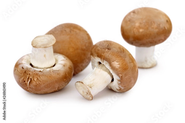 Obraz Four brown mushrooms