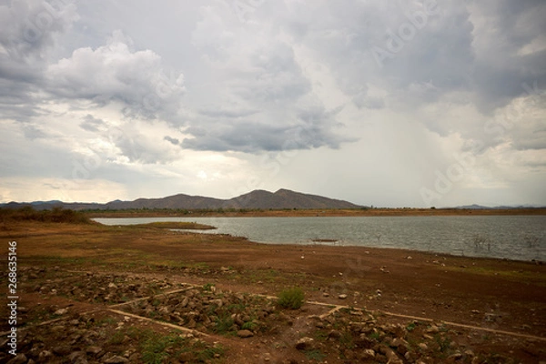 Obraz Nature outdoor view in sumer