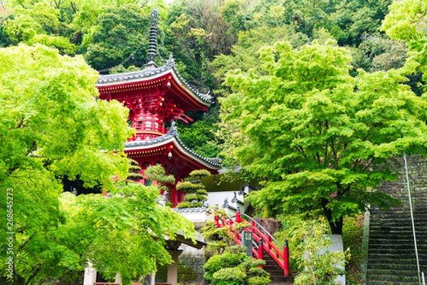 Obraz 四国八十八箇所霊場・札所	