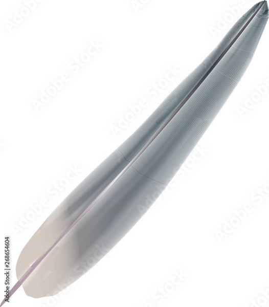 Fototapeta Basic CMYK