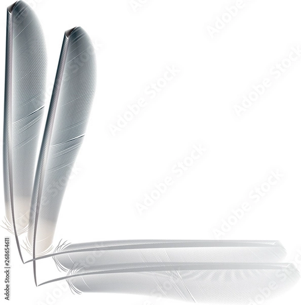 Fototapeta Basic CMYK