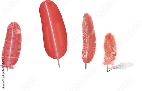 Fototapeta Basic CMYK