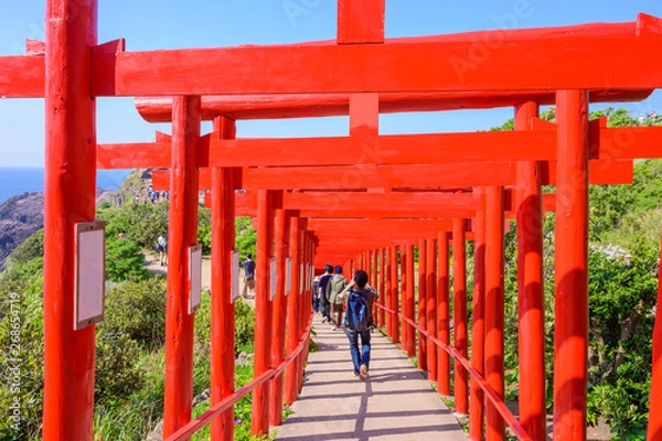 Fototapeta 山口県元乃隅稲成神社の赤い鳥居
