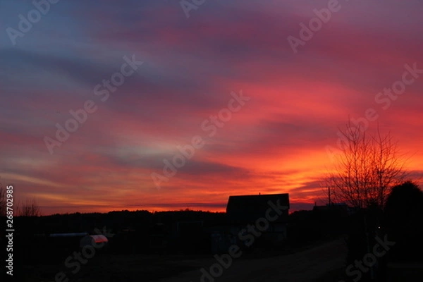 Obraz scarlet sunset