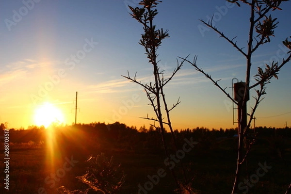 Obraz wind turbines at sunset