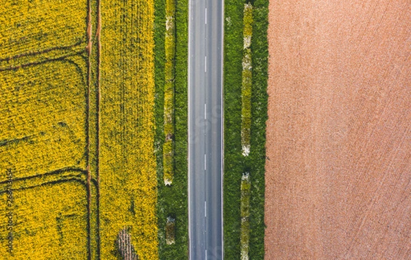 Obraz Aerial shot of agricultural landscape. Straight narrow road between sunny green grass, rapeseed and a brown field - Yorkshire, England, Spring 2019