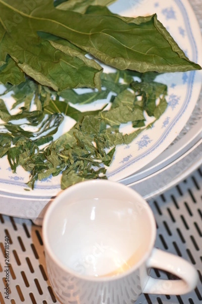 Obraz Dehydrated Fig Tree Leaves for Tea