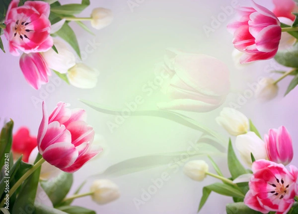 Obraz tender floral background
