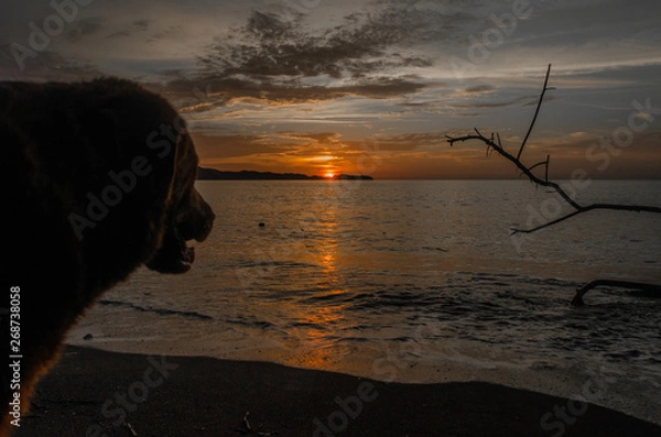 Fototapeta atardecer 