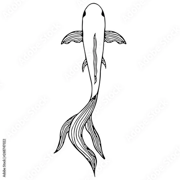 Fototapeta Abstract hand drawn carp fish isolated on white background. Hand drawn koi fish. Japanese carp. Top view