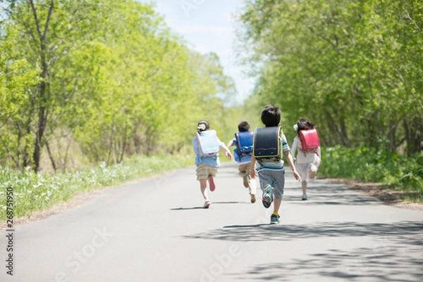 Obraz 一本道を走る小学生の後姿