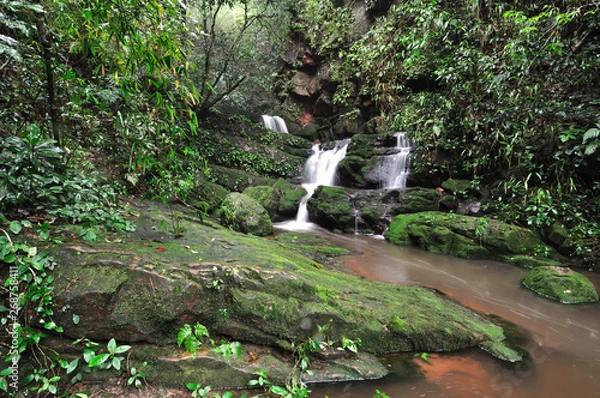 Fototapeta Waterfall in deep forest