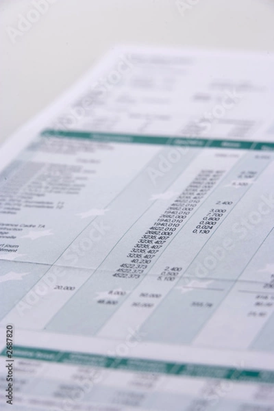 Obraz feuille de salaire