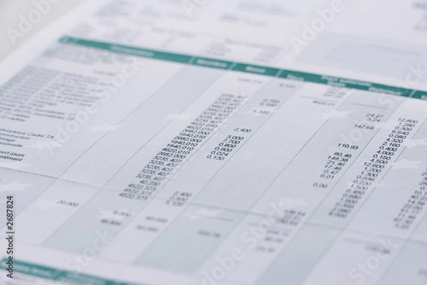 Obraz feuille de salaire