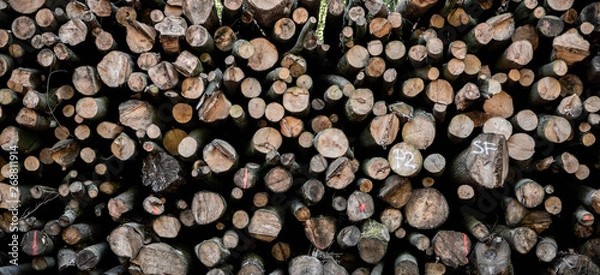 Obraz Rows of timber lay on the site of the road in Duisburg, Germany