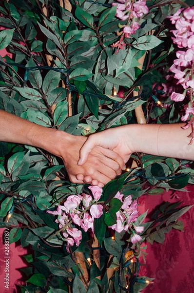 Fototapeta Holding On